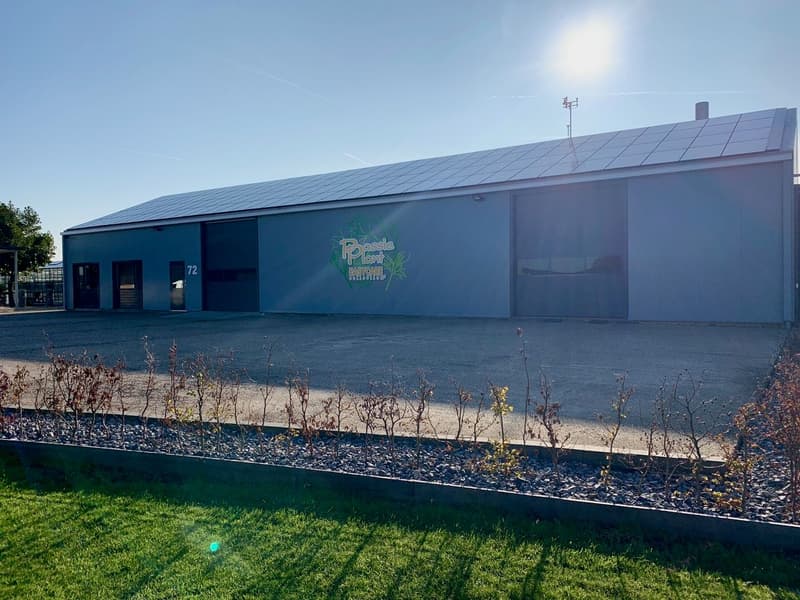 Na de asbestsanering: Passie Plant in Nieuwerkerk aan den IJssel