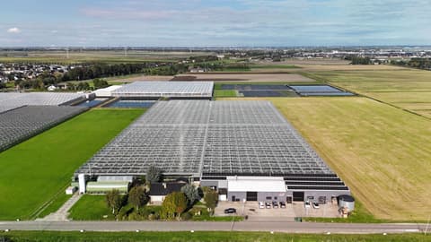 Fase 13 van de renovatie van bedrijfspand Gerberakwekerij Bakkeren in Zevenhuizen