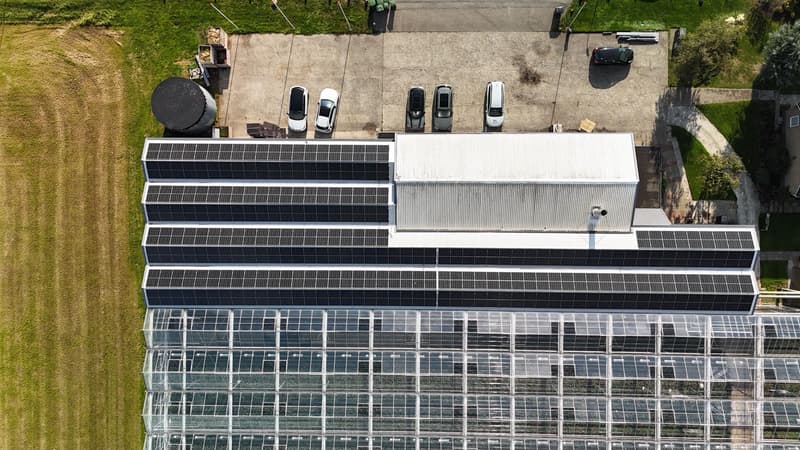 Verduurzaamd bedrijfsdak met zonnepanelen