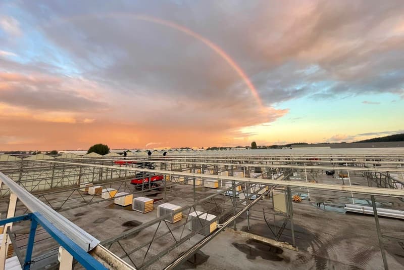 Voor de renovatie: het kasdek in Aalsmeer