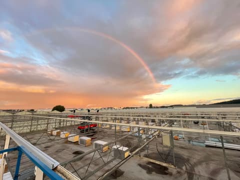 Fase 2 van de renovatie van het kasdek in Aalsmeer