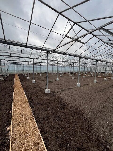 Fase 37 van de renovatie van kasschuur Indoor Moestuintjes