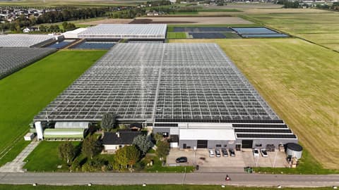 Fase 14 van de renovatie van bedrijfspand Gerberakwekerij Bakkeren in Zevenhuizen