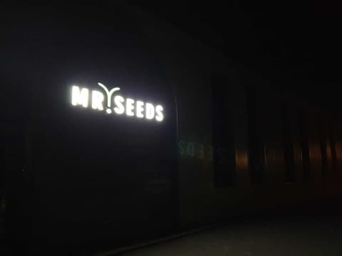 Fase 7 van de renovatie van bedrijfsruimte Mr. Seeds in Bleiswijk