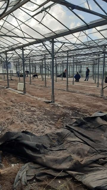 Fase 20 van de renovatie van kasschuur Indoor Moestuintjes