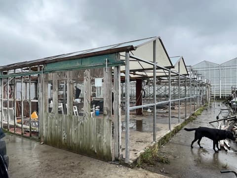 Voor de renovatie: kasschuur Indoor Moestuintjes