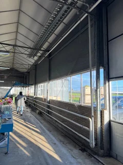 Fase 10 van de renovatie van bedrijfspand Gerberakwekerij Bakkeren in Zevenhuizen