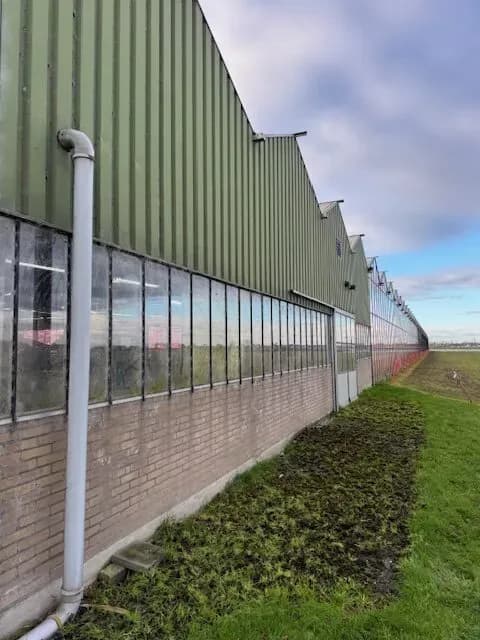Voor de renovatie: bedrijfspand Gerberakwekerij Bakkeren in Zevenhuizen