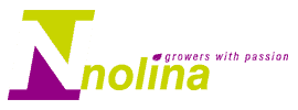 logo_nolina