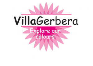 logo_villagerbera-300x213